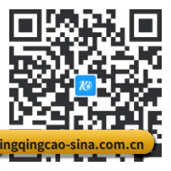 安卓极速冲浪端 二维码